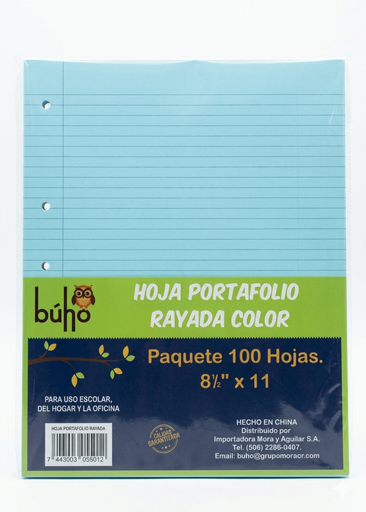 Hoja de portafolio rayada de colores 8½x11