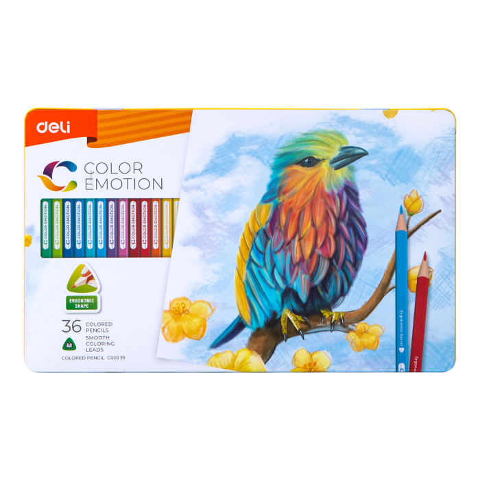 Lápices de color 36 unidades deli