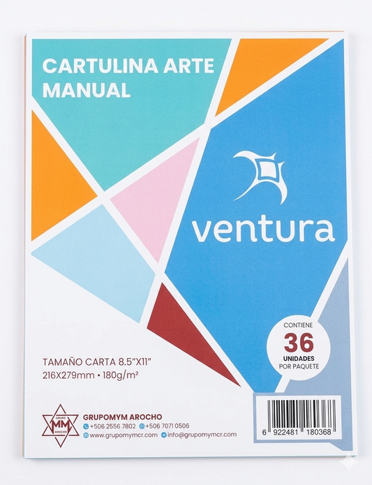 Cartulina de Arte tamaño carta