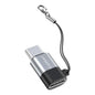 USB-C Lightning Earldom