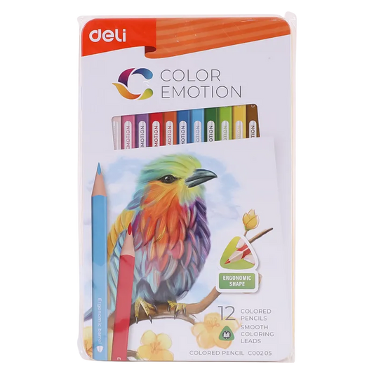 Lápices de color 12 unidades deli