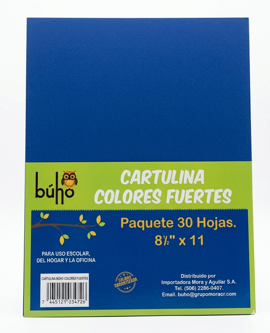 Cartulina de colores fuertes 8½x11